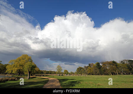 Bushy Park, Londres, UK. 26 avril 2016. Météo France : d'énormes cumulonimbus passent au-dessus de Bushy Park, sur un après-midi de soleil et de douches dans le sud ouest de Londres. Credit : Julia Gavin UK/Alamy Live News Banque D'Images