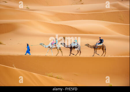 CHEBBY ERG, MAROC - 12 avril, 2013 : les touristes chameaux dans l'Erg Chebbi, Maroc Banque D'Images