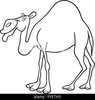 Dromadaire pour Coloring Book Banque D'Images