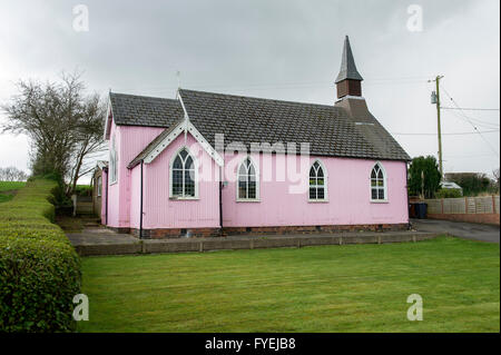 L'église de Saint Philippe rose dans l'Hassall vert, Cheshire, Angleterre. Banque D'Images