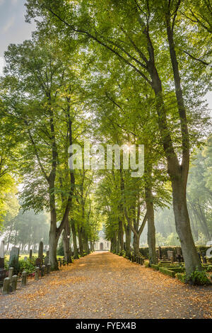 Chemin de gravier dans un cimetière avec des faisceaux de lumière qui brillait à travers les arbres Banque D'Images