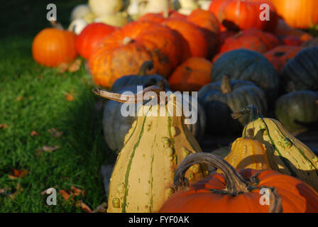 Décorations d'automne à vendre Banque D'Images