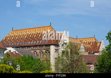 Toit orné sur le bâtiment des Archives nationales de Hongrie, quartier du château de Budapest, Budapest, Hongrie Banque D'Images