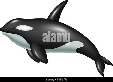 Cute Killer whale isolé sur fond blanc Illustration de Vecteur