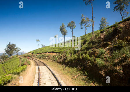 Sri Lanka, Nuwara Eliya, Nanu Oya, l'homme walkign le long de highland railway ligne passant par tea estate Banque D'Images