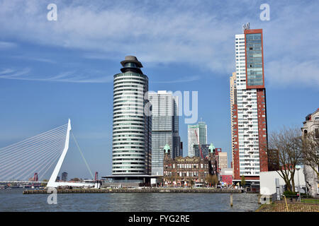 Centre Port mondial ( Kop van Zuid ) Montevideo Hotel New York Rotterdam Pays-Bas Dutch ( Nouvelle Meuse Pont Erasmus Swan ) Banque D'Images