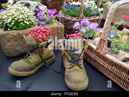 Planté Bottines,Osier & auges en pierre s'affichent dans l'usine Pavilion à la Harrogate Floralia. Yorkshire UK. Banque D'Images