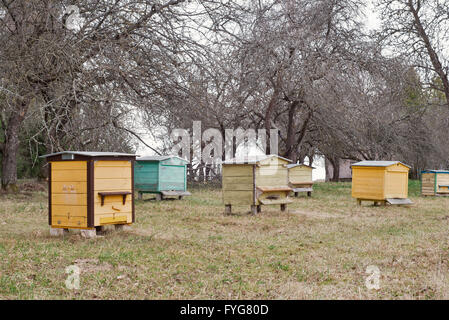 Ruches en bois dans un jardin Banque D'Images