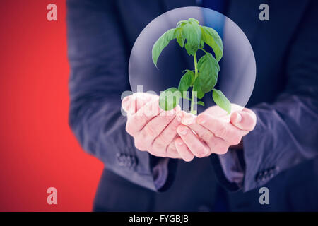 Image composite de scientist holding plant de basilic Banque D'Images