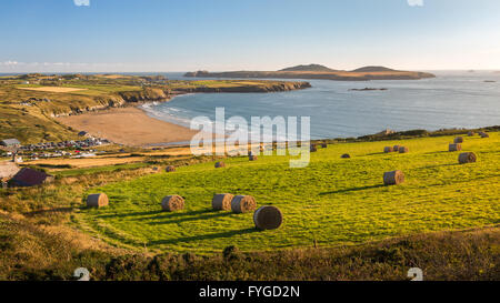 Bottes de foin dans un champ au-dessus de Whitesands Bay à l'ensemble de l'île de Ramsey repris de Carn Llidi chemin sur le nord, Pembrokeshire Banque D'Images