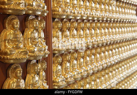 Perspective de mille bouddha mur en Thaïlande temple dragon Banque D'Images