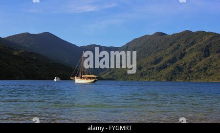 Scène sur la route de trekking de Queen Charlotte. Marlborough Sounds, en Nouvelle-Zélande. Banque D'Images