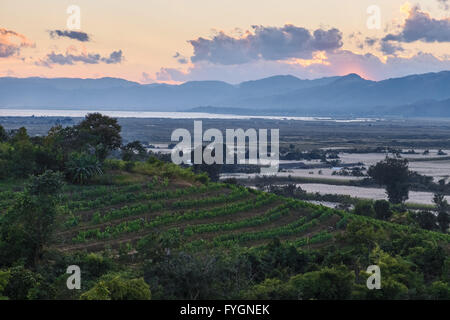 Vue sur la vigne au Lac Inle, Myanmar, en Asie Banque D'Images