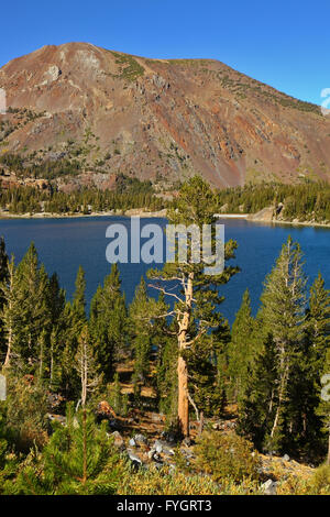 Sur le lac Tioga pass en sereine journée d'automne chaud Banque D'Images