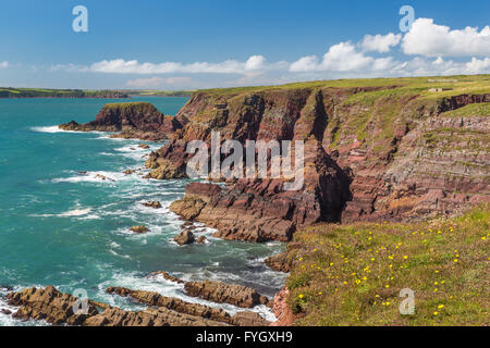 Rat Island près de l'angle ouest de la baie à la Dale - Pembrokeshire Banque D'Images