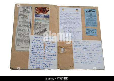 Schwartz scrap book plein de boutures recette antique. Banque D'Images