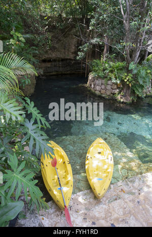 Kayaks à côté de l'eau avec des plantes tropicales et d'entrée, aller à l'aventure dans l'été. Banque D'Images