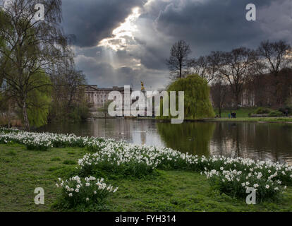 Le palais de Buckingham à la tombée de la St James's Park Londres Banque D'Images