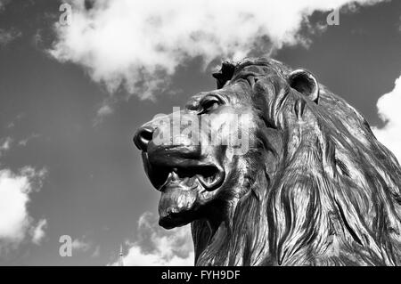 Statue de lion en bronze par Sir Edwin Landseer, Trafalgar Square, London, England, UK Banque D'Images