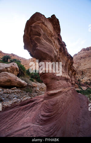 Rock formation à Wadi Zéred (Wadi Hassa ou Hasa) dans l'ouest de la Jordanie. Pierre de sable un canyon avec de l'eau courante frash Banque D'Images