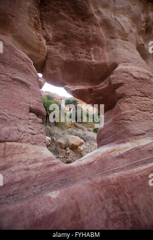 Rock formation à Wadi Zéred (Wadi Hassa ou Hasa) dans l'ouest de la Jordanie. Pierre de sable un canyon avec de l'eau courante frash Banque D'Images