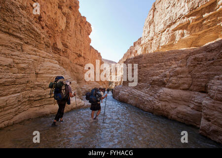 Wadi Zéred (Wadi Hassa ou Hasa) dans l'ouest de la Jordanie. Pierre de sable un canyon avec de l'eau courante frash Banque D'Images