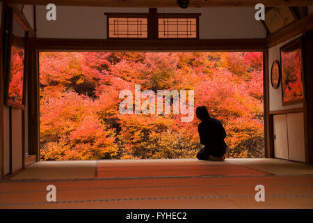 Couleurs d'automne dans la forêt Toyooka Japon, vue depuis une fenêtre des temples Banque D'Images