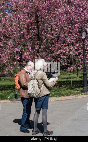 Le printemps à Central Park, New York City, USA Banque D'Images