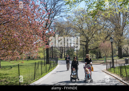 Le printemps à Central Park, New York City, USA Banque D'Images