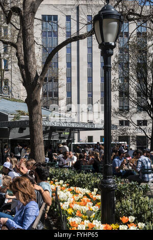 Journée de printemps, les gens sur des bancs et des tulipes en face de Shake Shack, Madison Square Park, NYC Banque D'Images