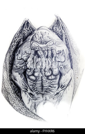 Monstre de mer, poulpes, tatouage dessin illustration Banque D'Images
