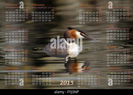 Calendrier de l'année européenne 2015 avec canard grèbe huppé