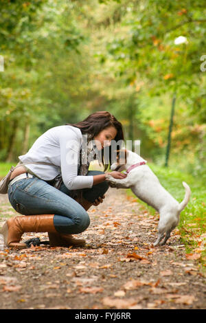 Jouer avec mon Jack Russell Banque D'Images