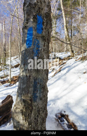 Pionnière bleu (signe) le long de la piste de Mount Pemigewasset dans Franconia Notch State Park de New Hampshire Banque D'Images