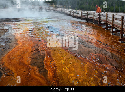 WYOMING - Tourisme à la promenade à l'algue de couleur noire à l'extérieure de l'Ouest Coupe de Parc National de Yellowstone. Banque D'Images