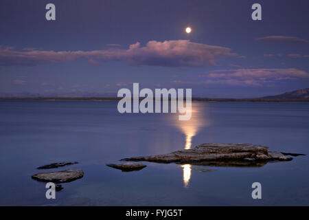 WYOMING - Fin de soirée et une pleine lune sur le lac Yellowstone de West Thumb Geyser Basin dans le Parc National de Yellowstone. Banque D'Images