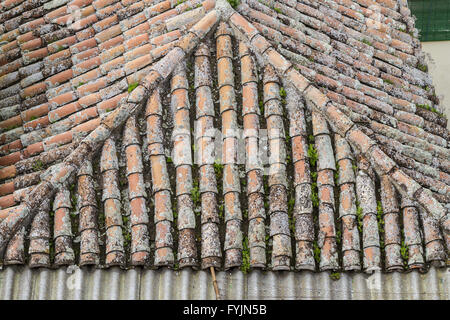 Toledo, ville impériale. Vue depuis le mur, toit de maison Banque D'Images