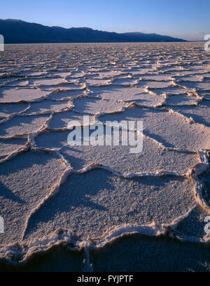 États-unis, Californie, Death Valley National Park, les modèles polygonaux à salt pan sur le plancher de la vallée de la mort dans la lumière du soir. Banque D'Images