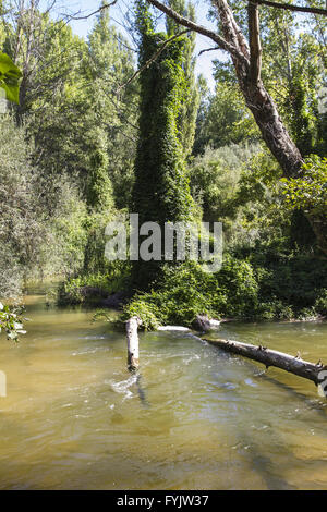 Rivière alberche à Tolède, Castille La Manche, Espagne Banque D'Images