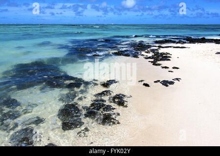 Plage ile du cerfs Maurice océan indien algues rock Banque D'Images