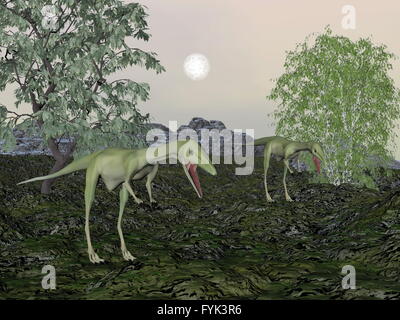 Maman et bébé dinosaure Compsognathus- 3D render Banque D'Images