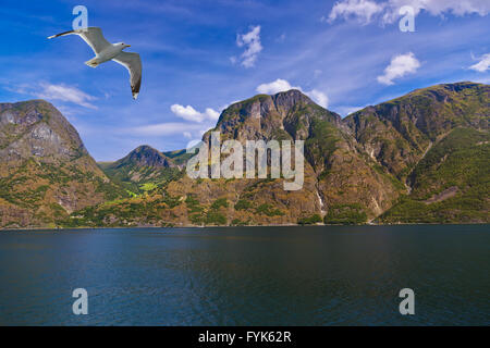 Naeroyfjord Fjord en Norvège - Site de l'UNESCO célèbre Banque D'Images