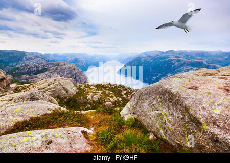 Montagnes près de les prédicateurs Pulpit Rock au fjord Lysefjord - Norvège Banque D'Images