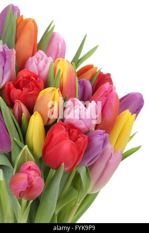 Blumenstrauß mit Tulpen im Frühling und Muttertag Freisteller Banque D'Images