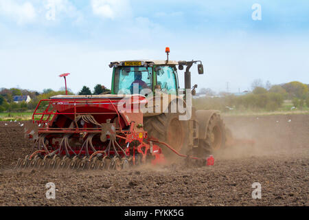 Hesketh Bank, Lancashire, Royaume-Uni. 27 avril 2016. Météo France : les agriculteurs dans le saladier de Lancashire sont retenus dans la production de cultures de salade en raison de la poursuite de l'froid qui est la restriction de la croissance. La région est un gros employeur de travailleurs immigrants étrangers et ressortissants de l'UE qui sont limités à la durée du travail qui est d'avoir un effet sur l'effet à l'économie locale. Les agriculteurs continuent de planter sous un régime de protection en molleton la navigation par satellite. Credit : Cernan Elias/Alamy Live News Banque D'Images