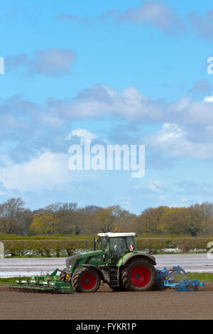 Hesketh Bank, Lancashire, Royaume-Uni. 27 avril, 2016. Météo France : les agriculteurs dans le saladier de Lancashire sont retenus dans la production de cultures de salade en raison de la poursuite de l'froid qui est la restriction de la croissance. La région est un gros employeur de travailleurs immigrants étrangers et ressortissants de l'UE qui sont limités à la durée du travail qui est d'avoir un effet sur l'effet à l'économie locale. Les agriculteurs continuent de planter sous un régime de protection en molleton la navigation par satellite. Credit : Cernan Elias/Alamy Live News Banque D'Images