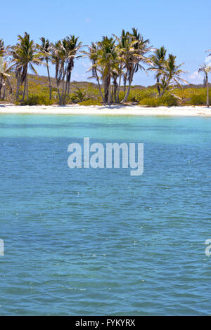 Isla Contoy au Mexique et froath la mousse bleu Banque D'Images