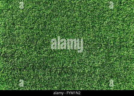 Green grass texture background Banque D'Images