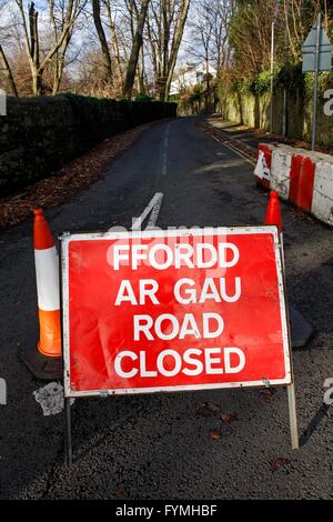 Road Closed sign avec les cônes et d'obstacles Banque D'Images