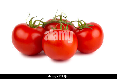 Tomates mûres rouges avec branche verte Banque D'Images
